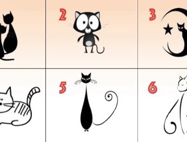 Test psicologico: scegli un gatto e scopri qualcosa in più sulla tua personalità