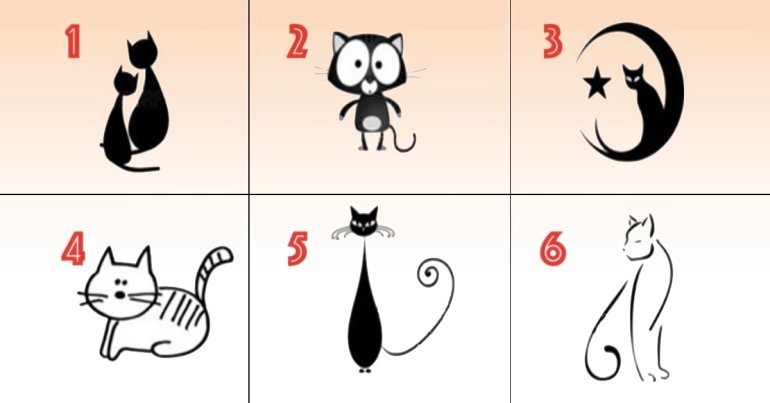 Test psicologico: scegli un gatto e scopri qualcosa in più sulla tua personalità