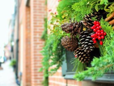 La vera storia del vischio di Natale: perché porta fortuna?